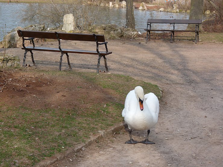 Bild: B&auml;nke im Schlosspark