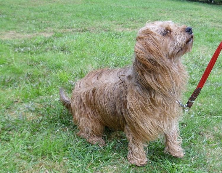 Bild: tobi