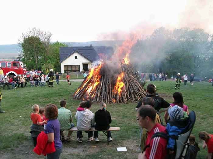 Bild: Osterfeuer auf der Hundewiese