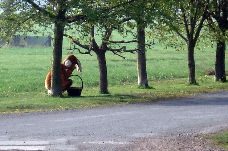 Bild: Versteckt