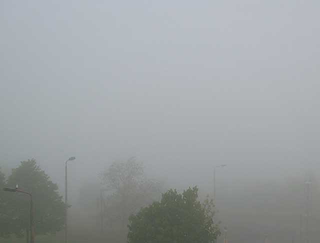 Bild: Dichter Nebel
