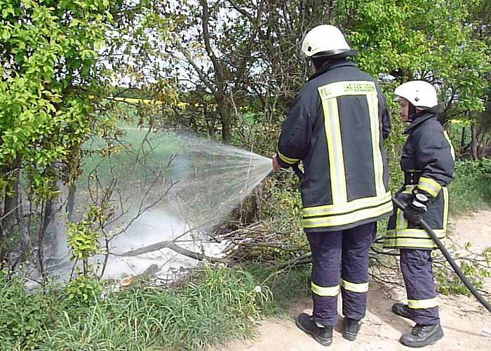 Bild: Baumpflege mit Feuer?