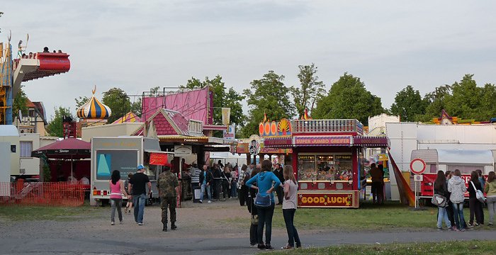 Bild: Fliederkrone gesetzt
