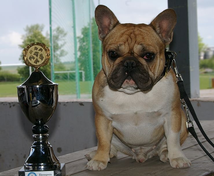 Bild: Eddy