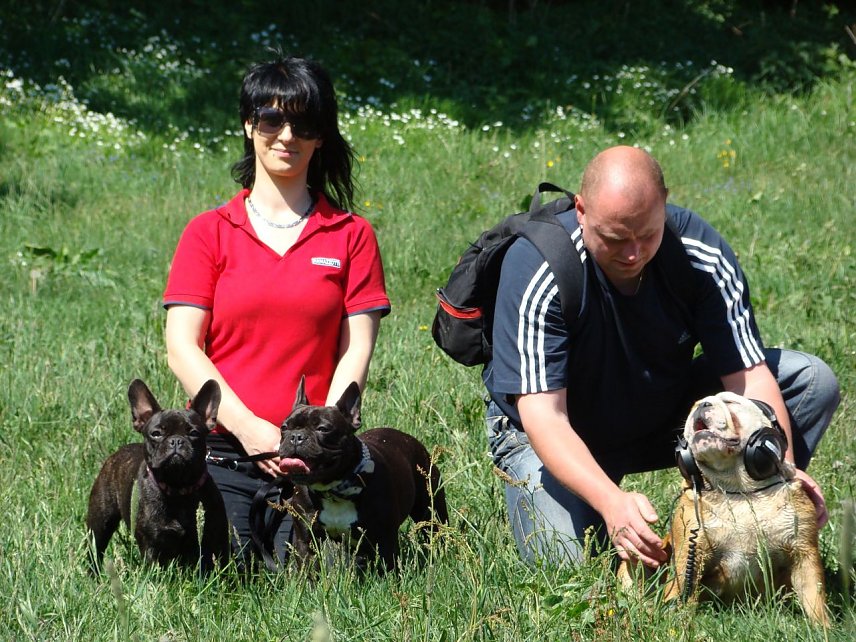 Bild: Tierisches Radio