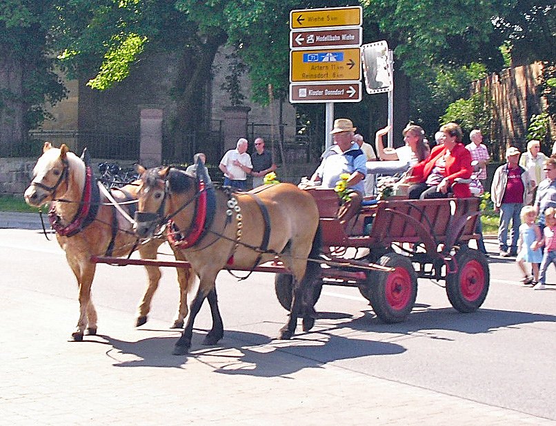 Bild: 1,225 Jahre Donndorf