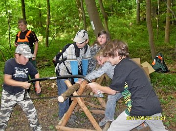 Bild: Erfolg im Wald