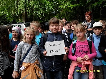 Bild: Erfolg im Wald