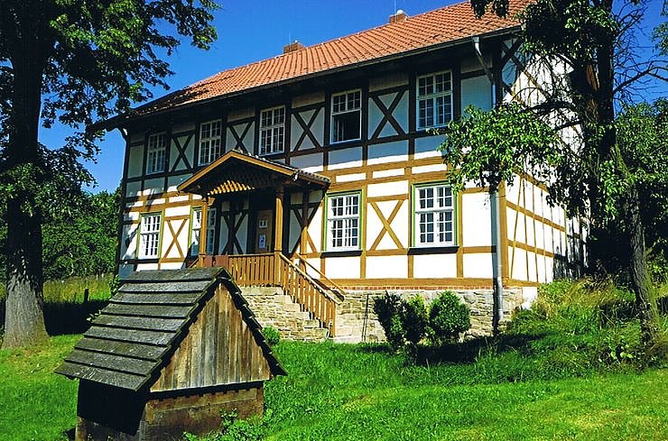 Bild: Lange Reihe Nr. 11 im Sommer