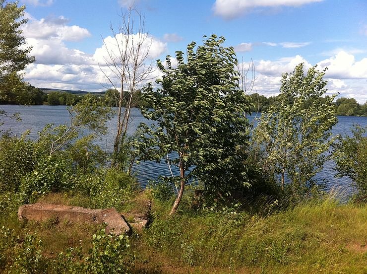 Bild: Blick auf den M&ouml;wensee