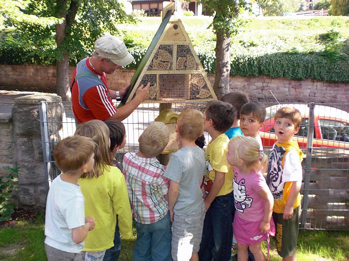 Bild: Haus f&uuml;r die Wildbienen