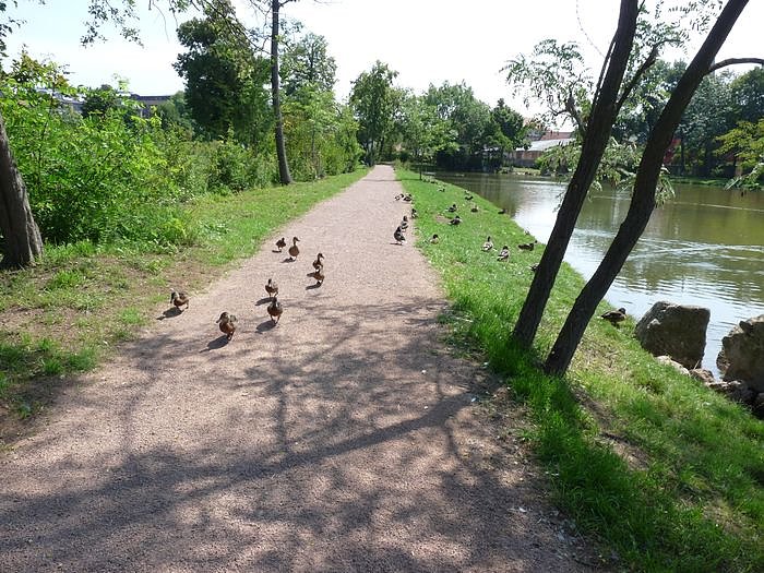 Bild: Sanierung Parkbr&uuml;cke und F&uuml;rstenweg