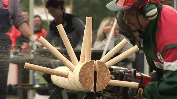 Bild: Entastung