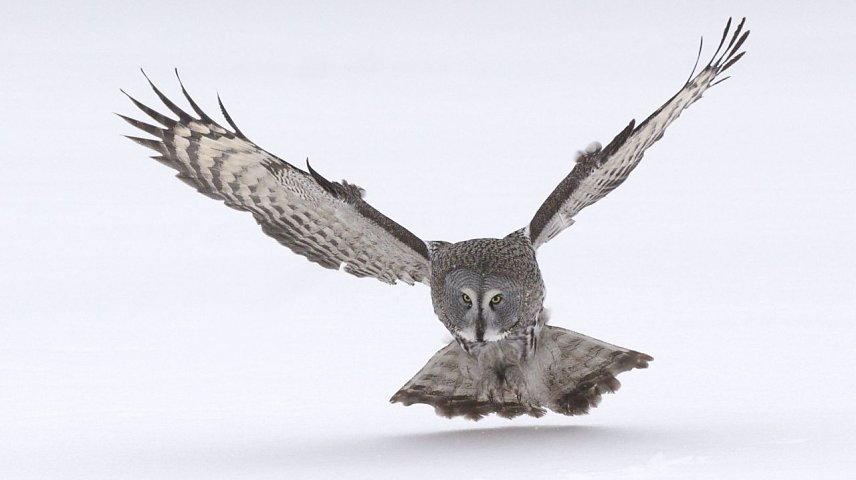 Bild: Beeindruckende Bilder