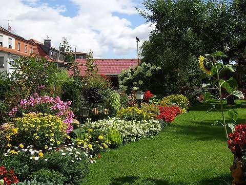 Bild: Unser Garten