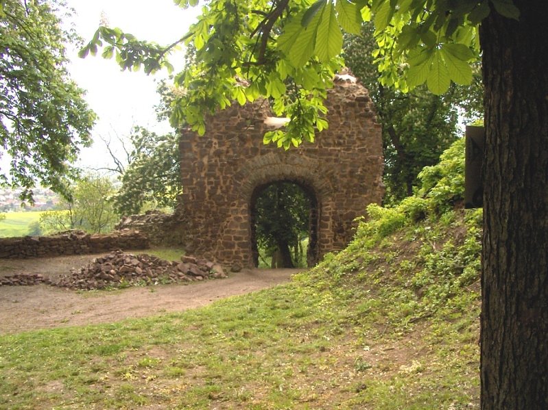Bild: Die Ebersburg