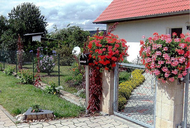 Bild: "Frankenh&auml;user Blumensommer" 2011