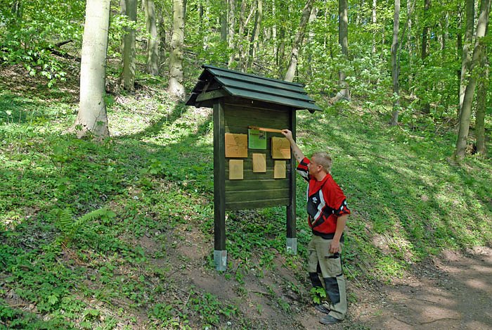 Bild: "Walderlebnis"