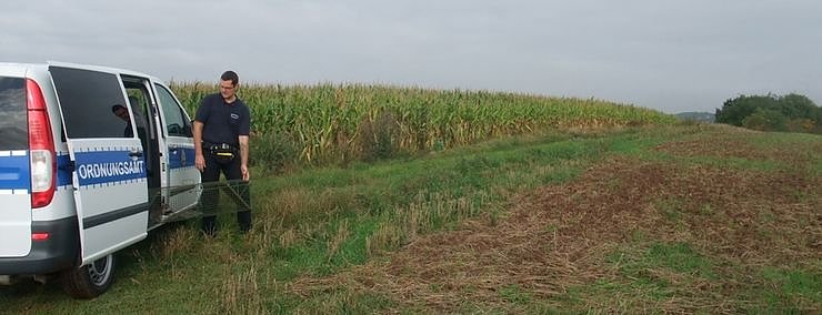 Bild: Ausgewildert