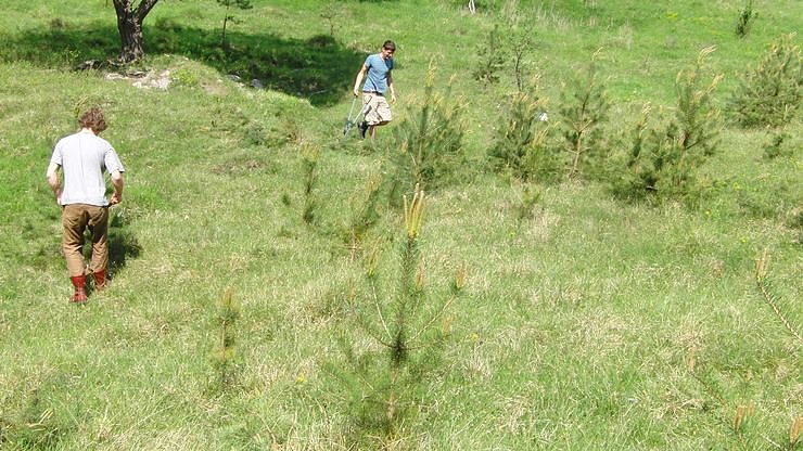 Bild: Unterwegs in der Natur