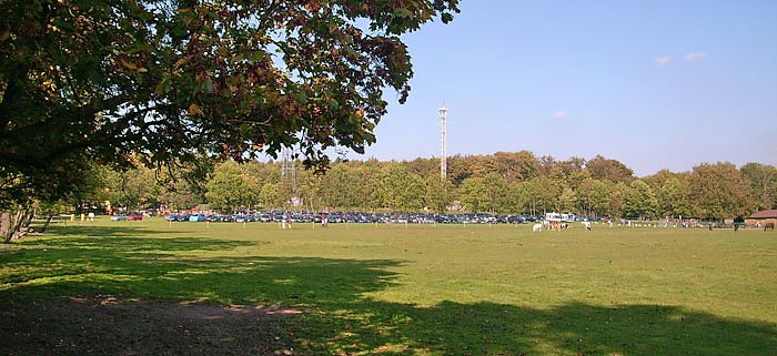 Bild: Wetter lockte