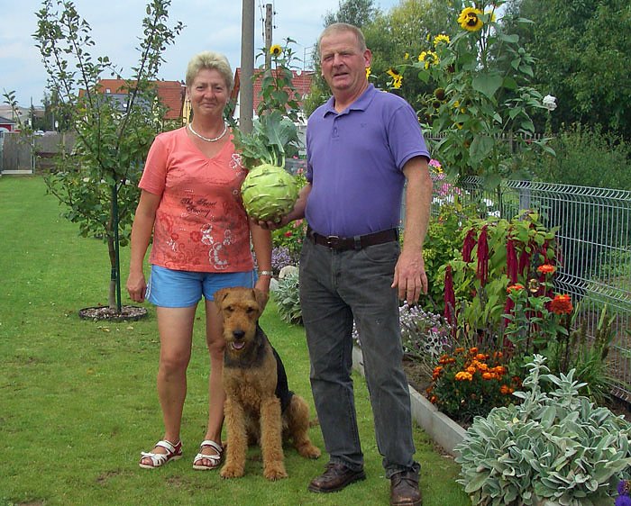 Bild: Riesenkohlrabi