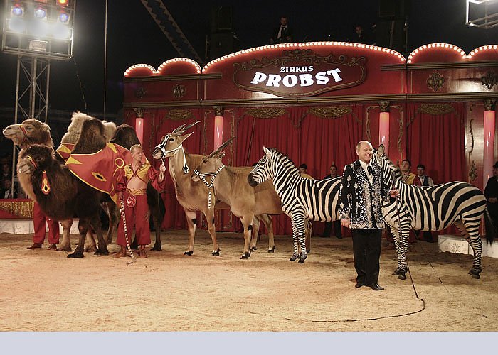 Bild: Zirkus Probst