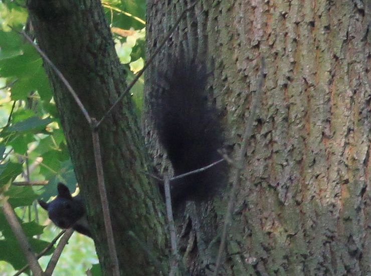 Bild: Entdecken