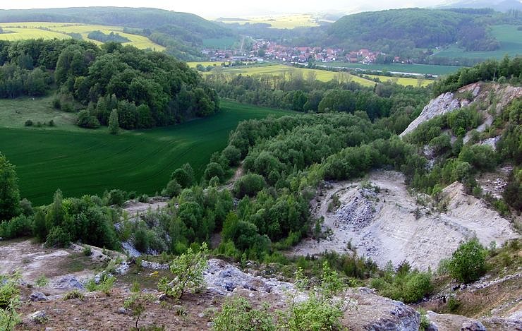 Bild: Naturblick