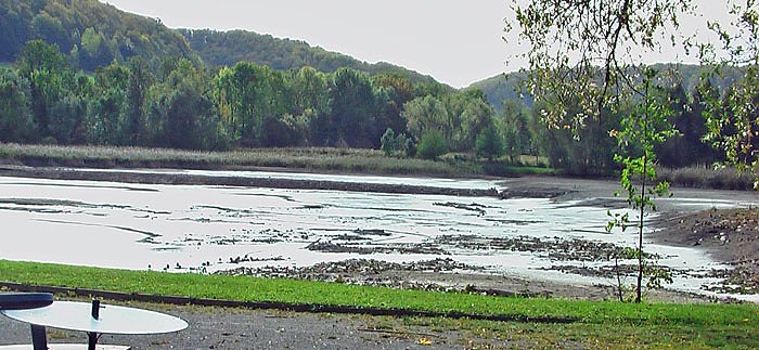 Bild: Bebraer Teich