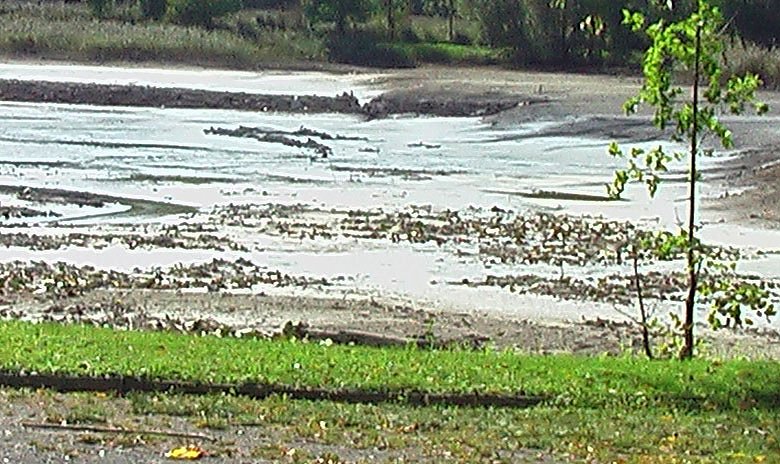 Bild: Bebraer Teich