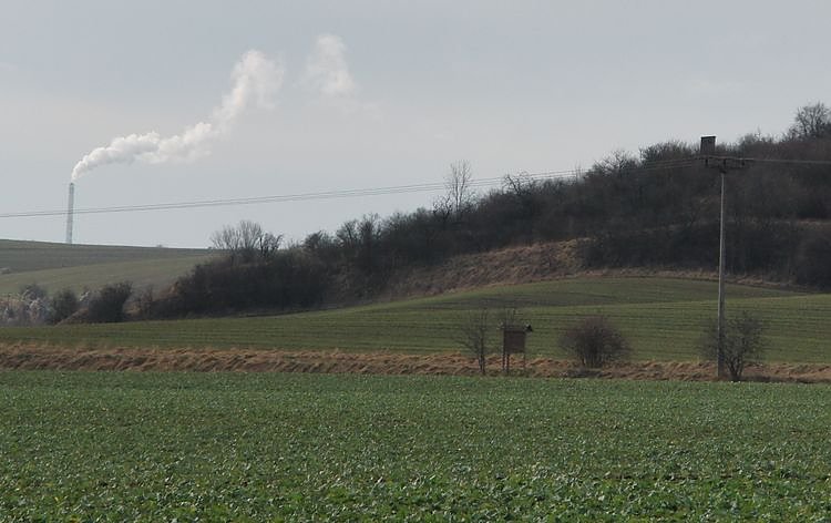 Bild: Unterwegs nach Halle