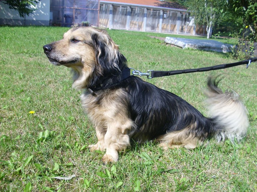 Bild: Ivo