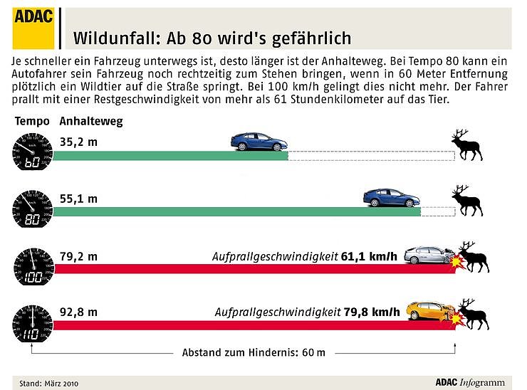 Bild: Grafik