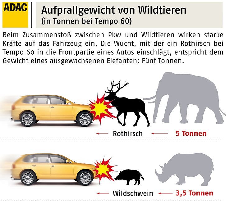 Bild: Grafik