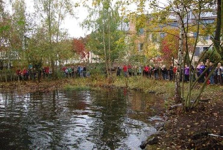 Bild: Teich saniert