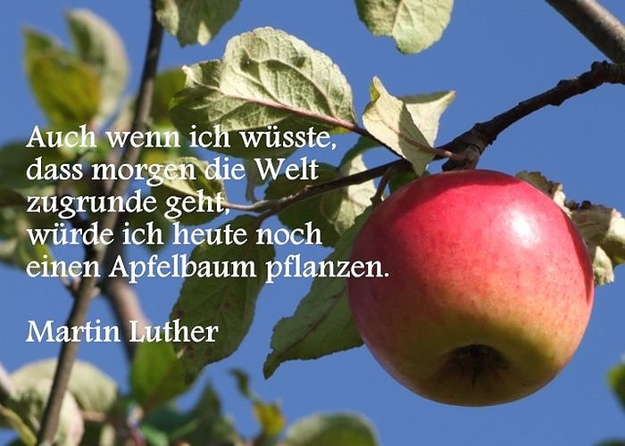 Bild: Aktion im Hospiz