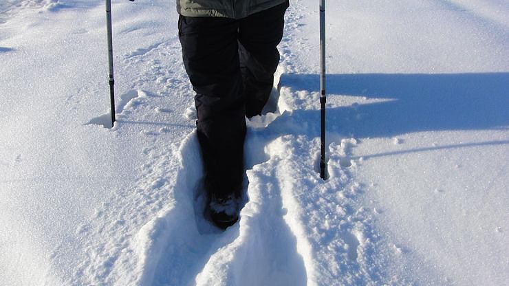 Bild: Stapfen durch den Schnee