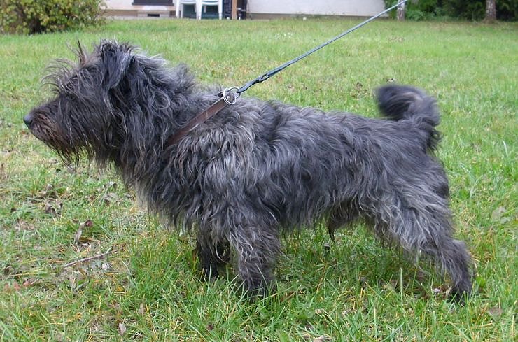 Bild: Benny