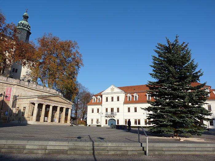 Bild: Weihnachtsbaum steht