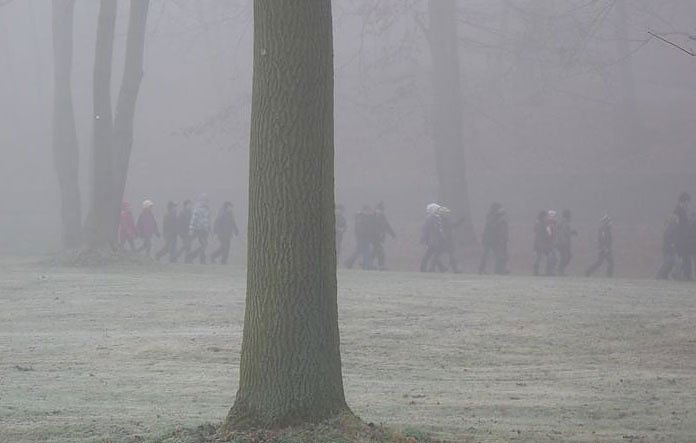 Bild: Auf dem Weg nach Bremen