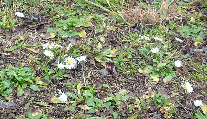 Bild: Dem Fr&uuml;hling begegnet?