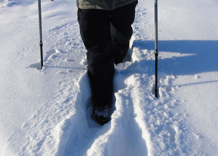 Bild: Im Schnee unterwegs