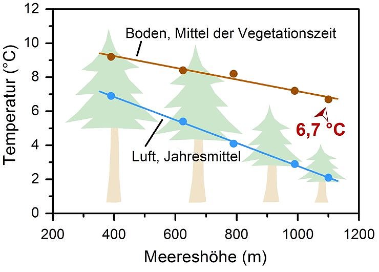 Bild: Grafik