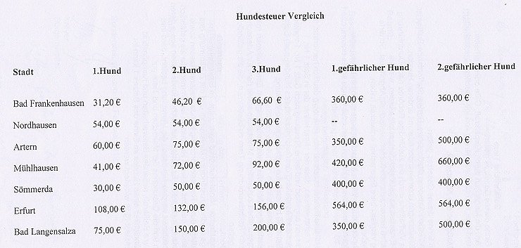 Bild: Teure Hunde?