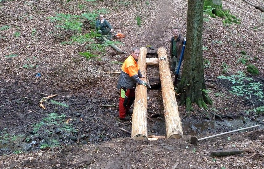 Bild: Br&uuml;cke &uuml;ber Seelenpfad