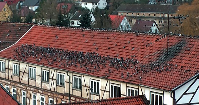 Bild: So etwas von voll!