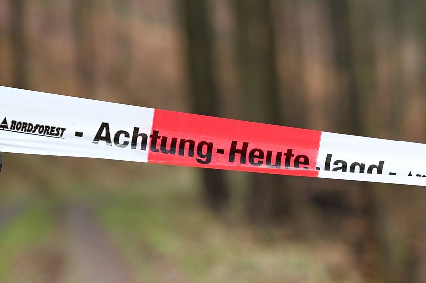 Bild: Hier wird gejagt