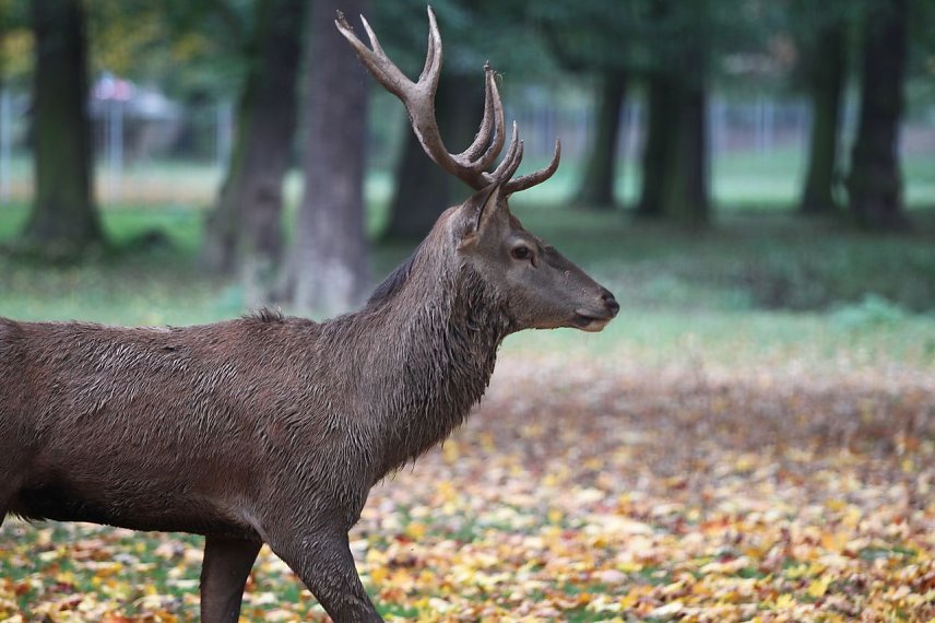 Bild: Im Stadtpark