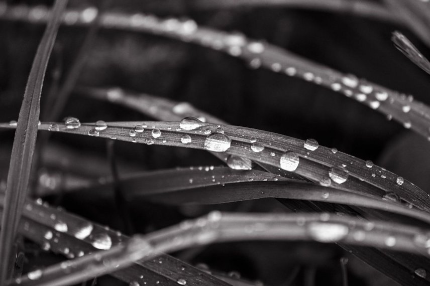 Bild: Wetter-Bild